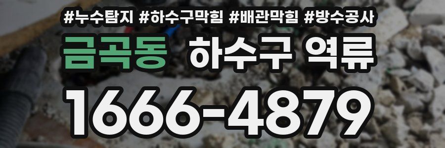 금곡동 하수구 역류