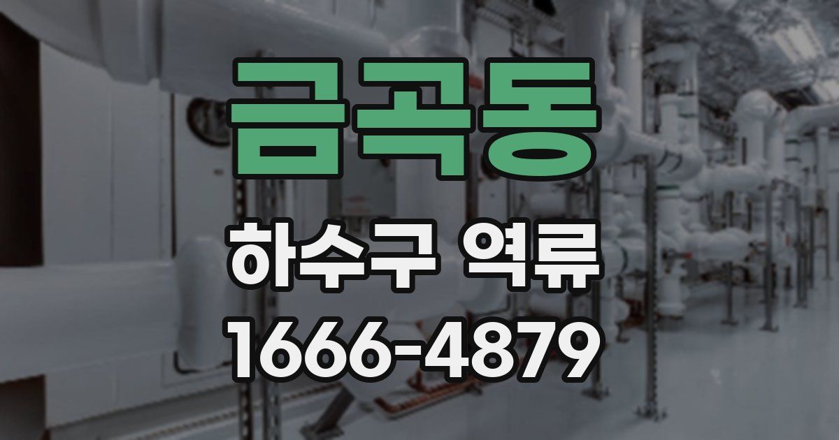 금곡동 하수구 역류