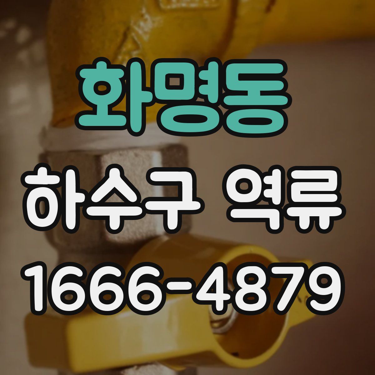 화명동 하수구 역류
