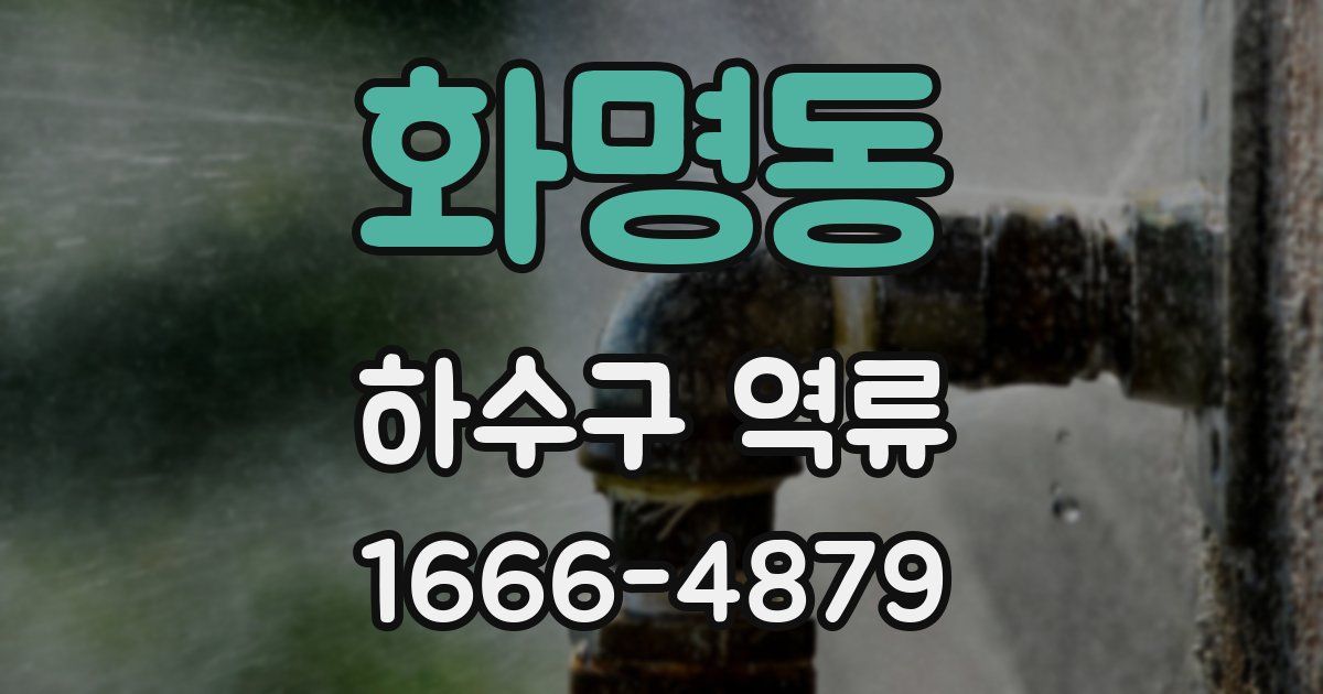 화명동 하수구 역류