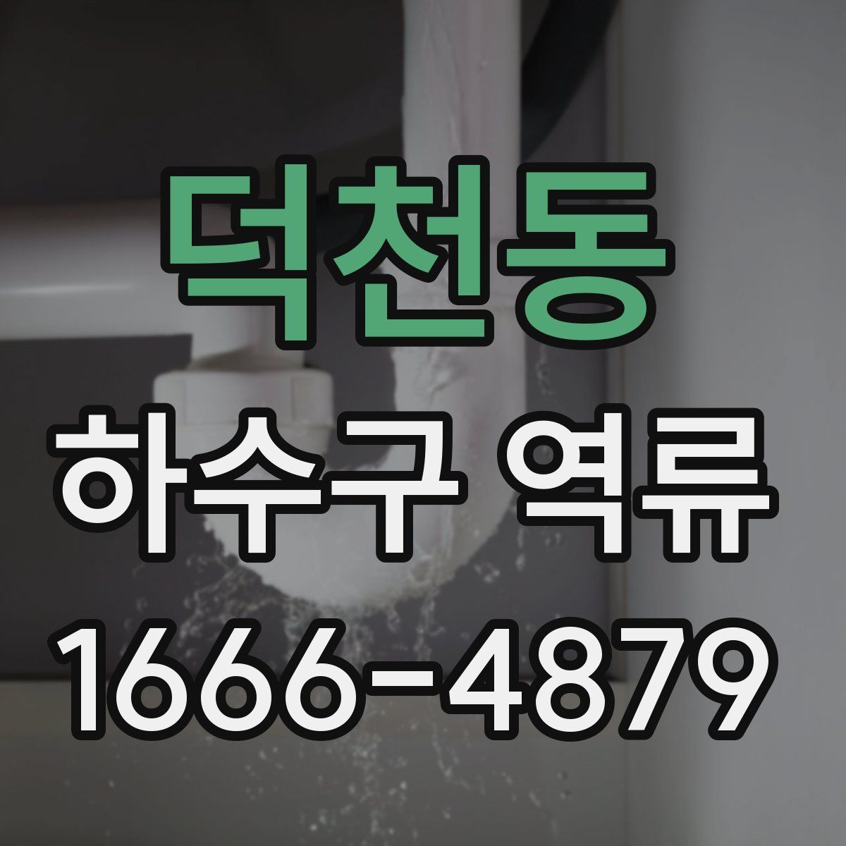 덕천동 하수구 역류