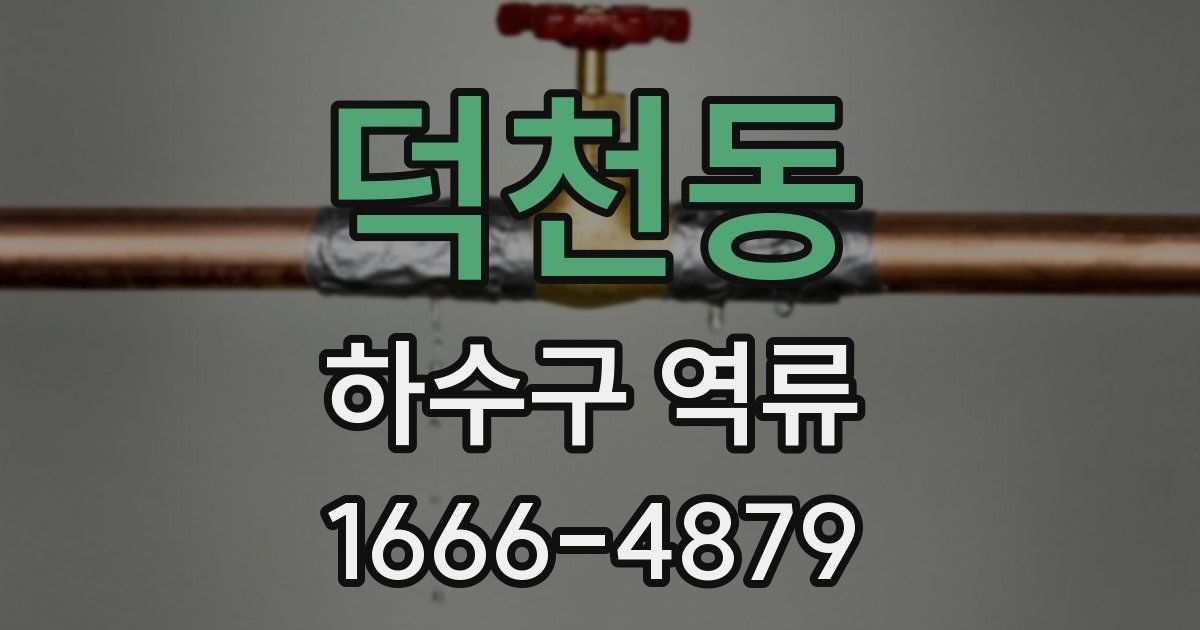 덕천동 하수구 역류