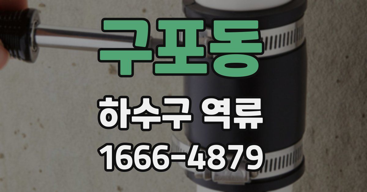 구포동 하수구 역류