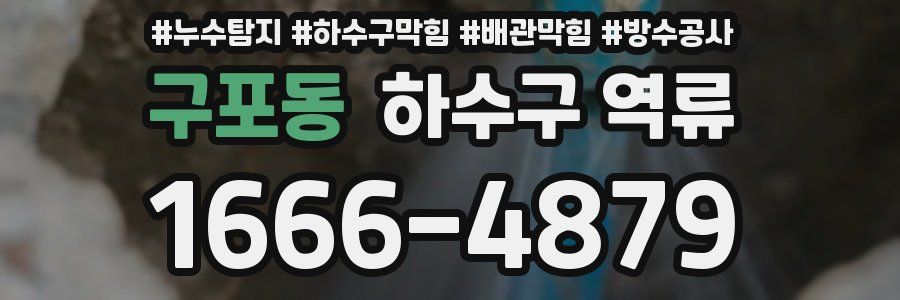 구포동 하수구 역류