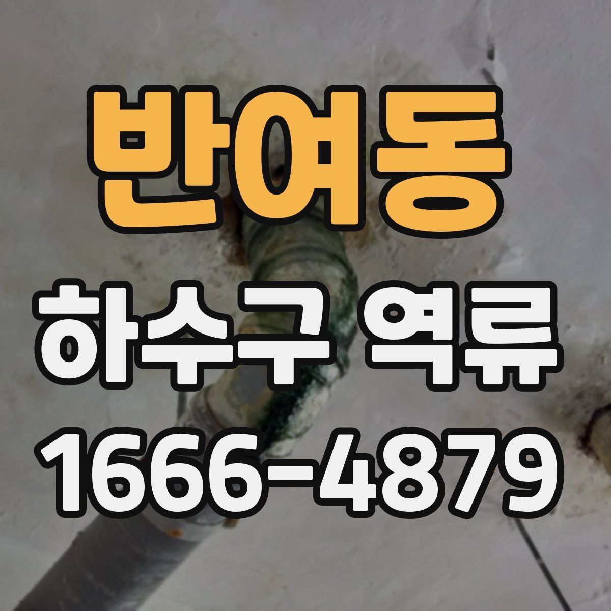 반여동 하수구 역류