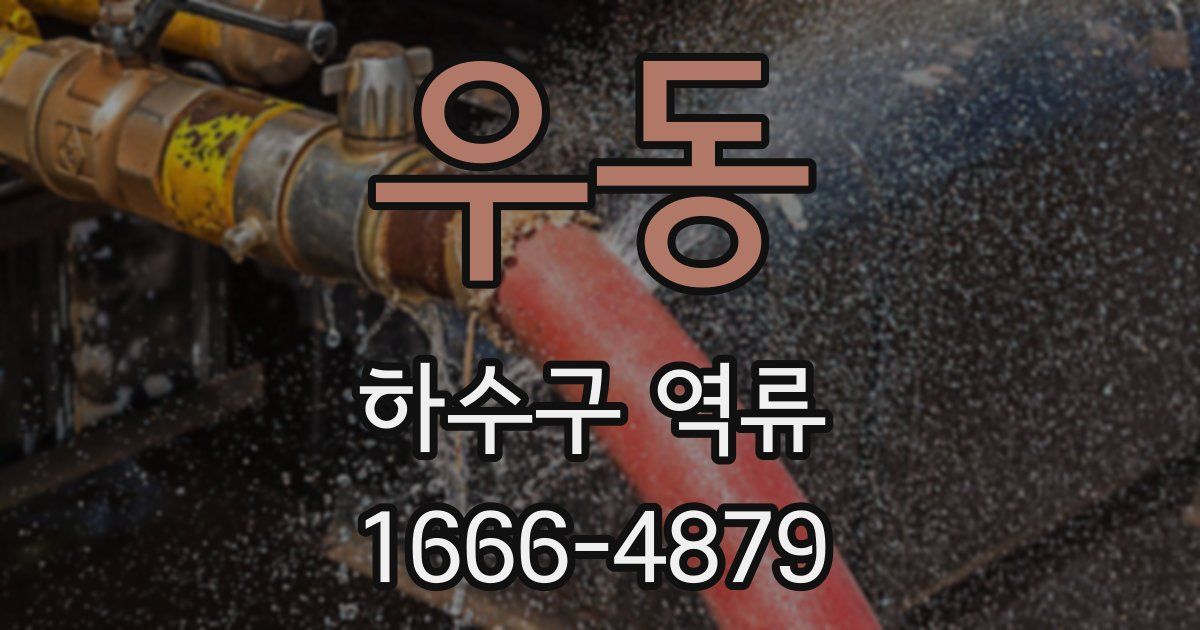 우동 하수구 역류