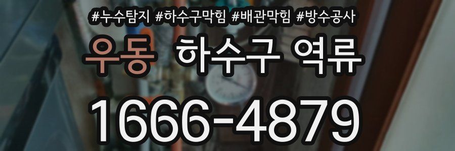 우동 하수구 역류