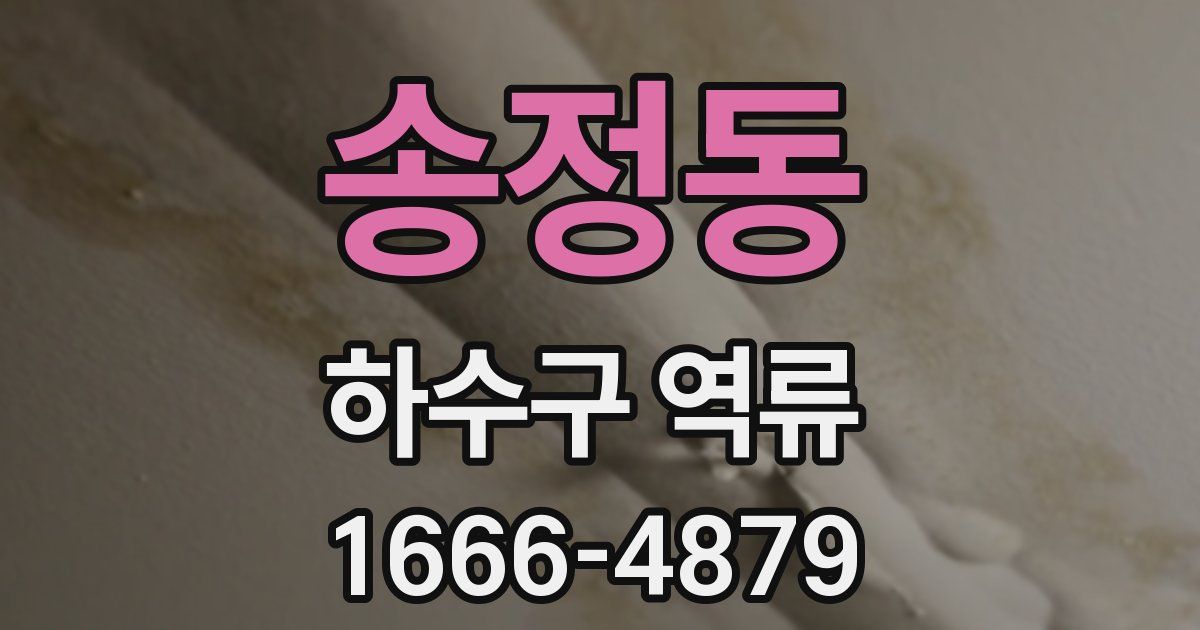 송정동 하수구 역류