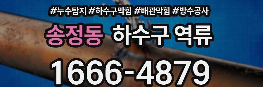 송정동 하수구 역류