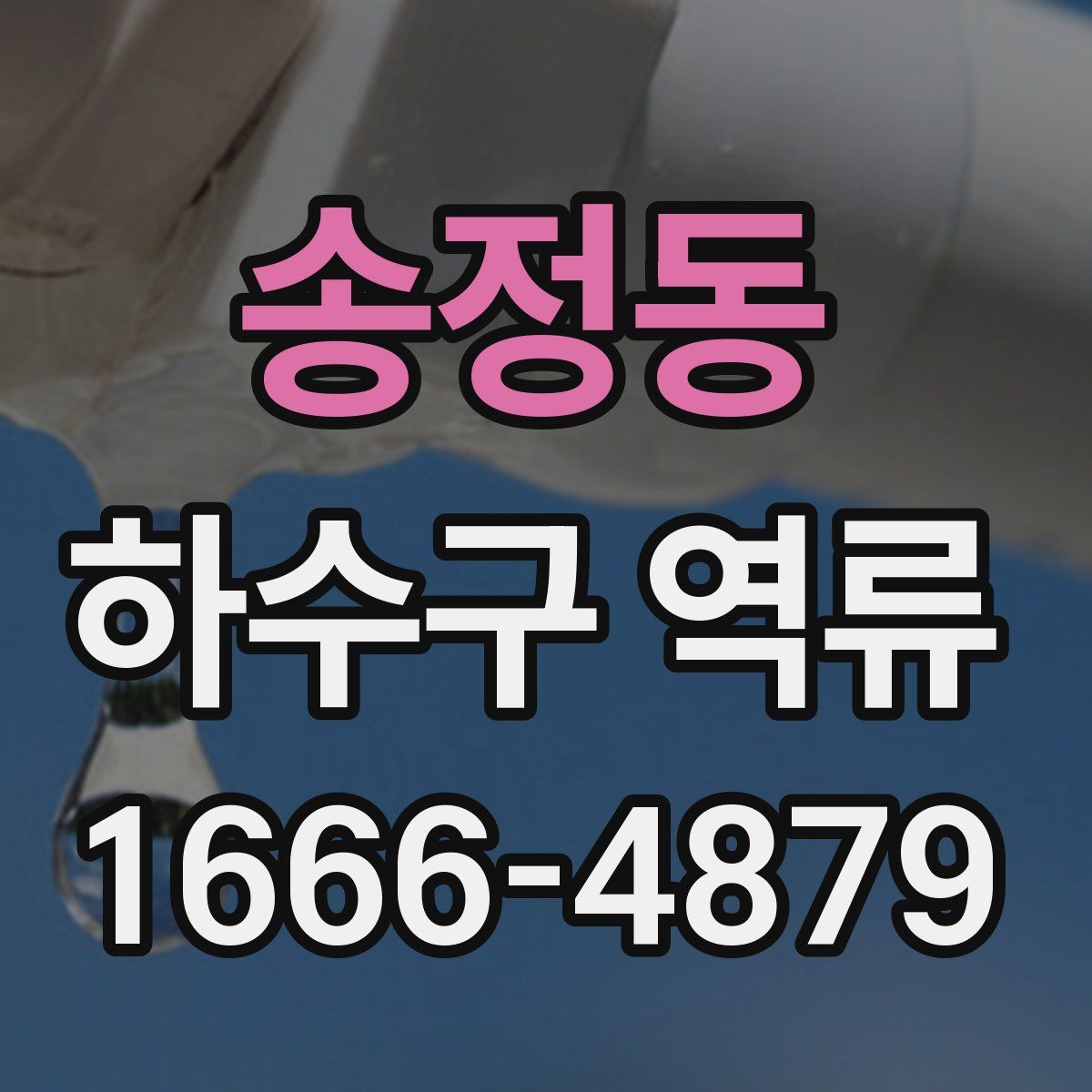 송정동 하수구 역류