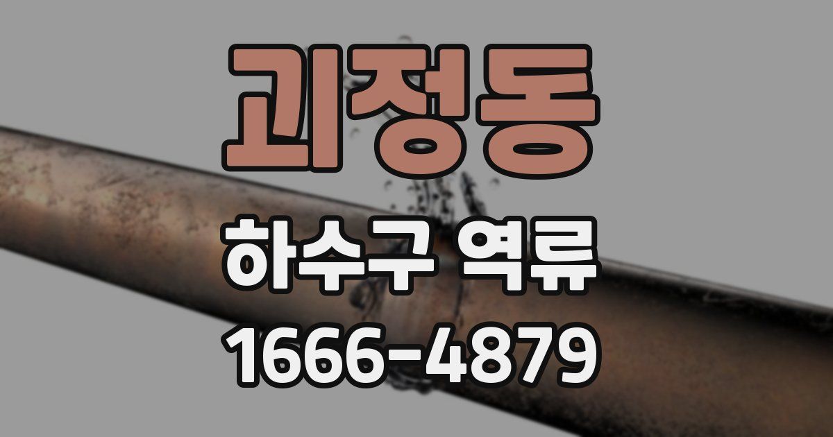 괴정동 하수구 역류