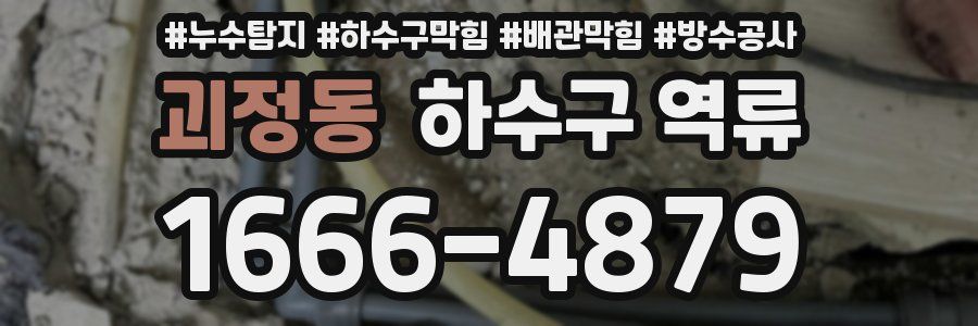 괴정동 하수구 역류