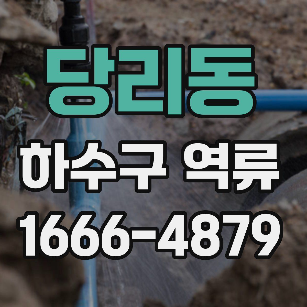 당리동 하수구 역류