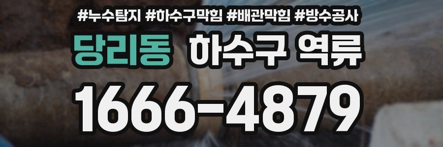 당리동 하수구 역류
