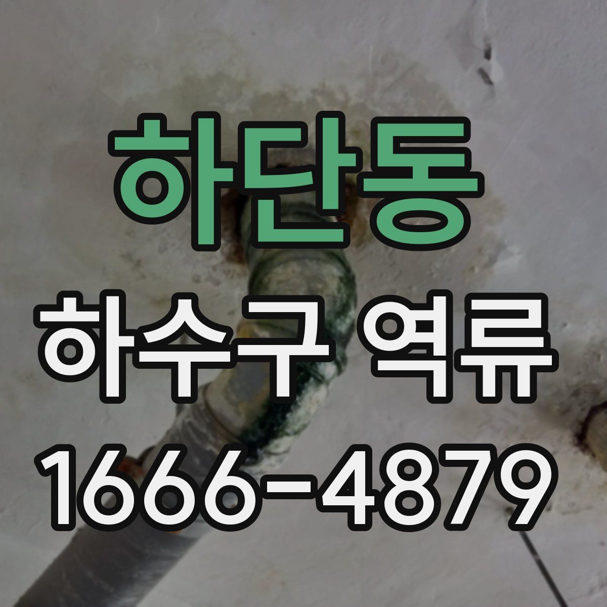 하단동 하수구 역류