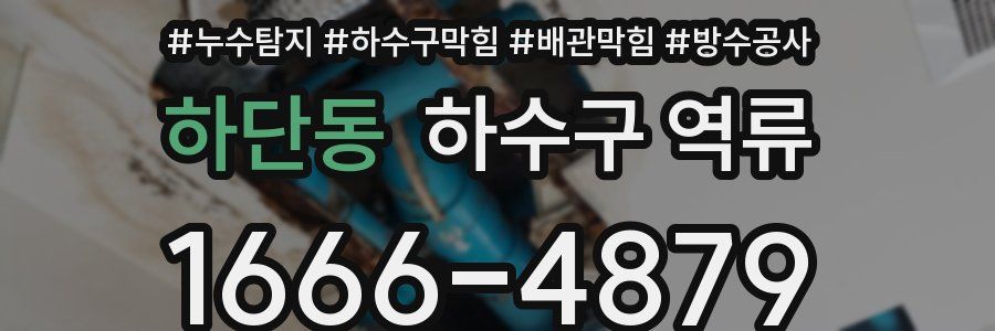하단동 하수구 역류