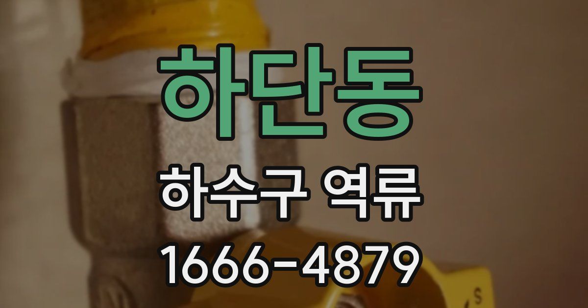 하단동 하수구 역류