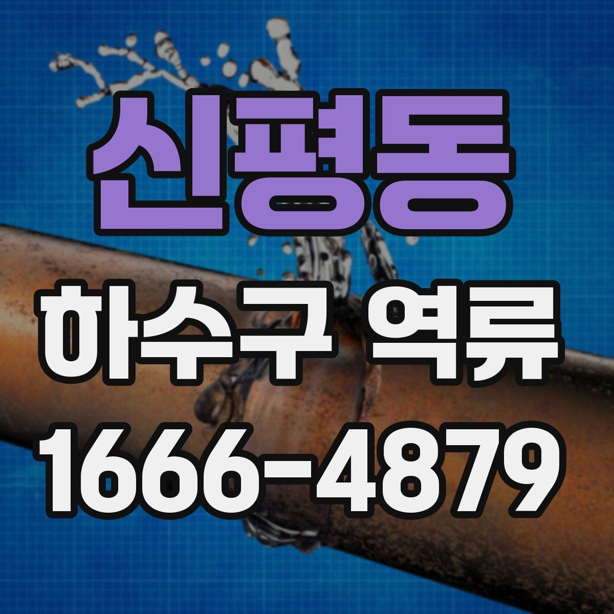 신평동 하수구 역류