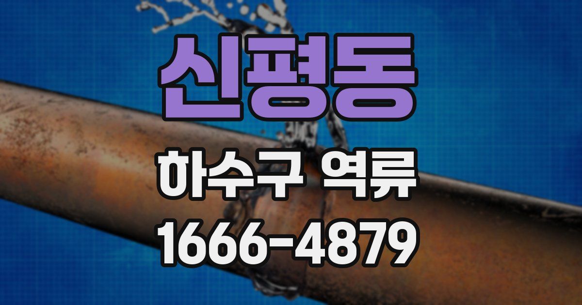 신평동 하수구 역류