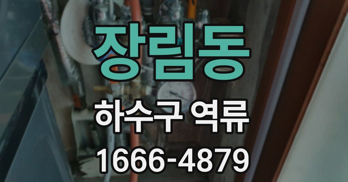 장림동 하수구 역류