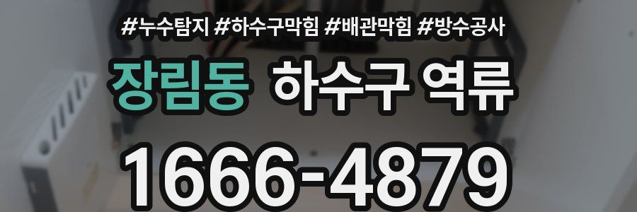 장림동 하수구 역류