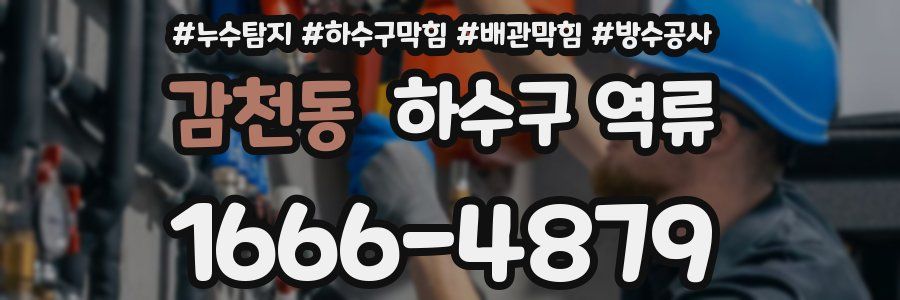 감천동 하수구 역류
