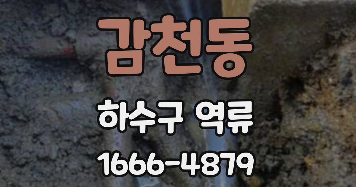 감천동 하수구 역류