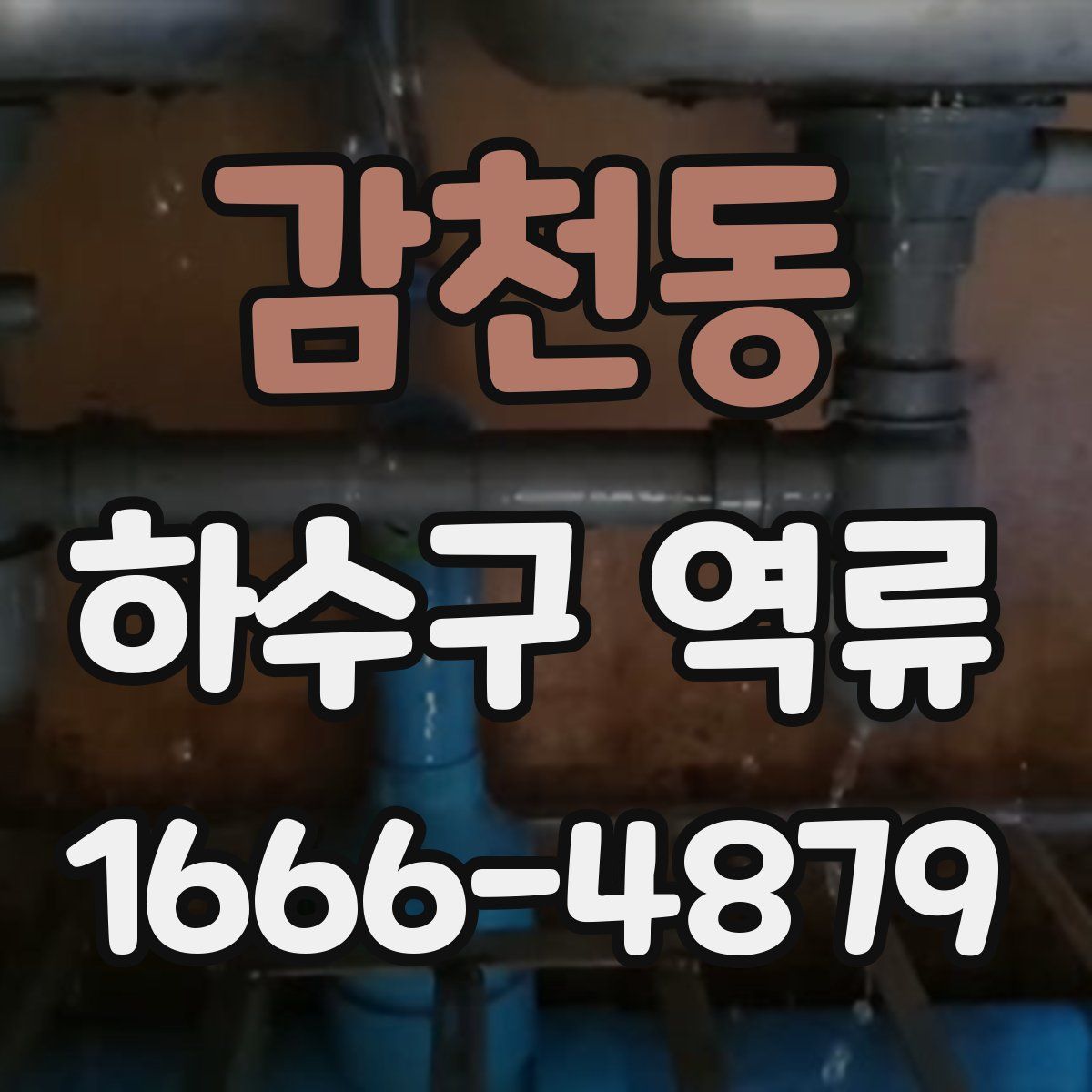 감천동 하수구 역류