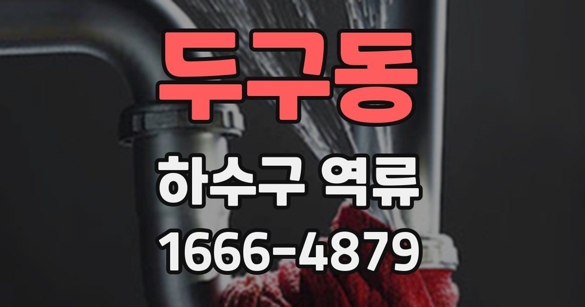 두구동 하수구 역류
