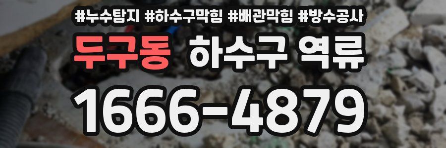 두구동 하수구 역류