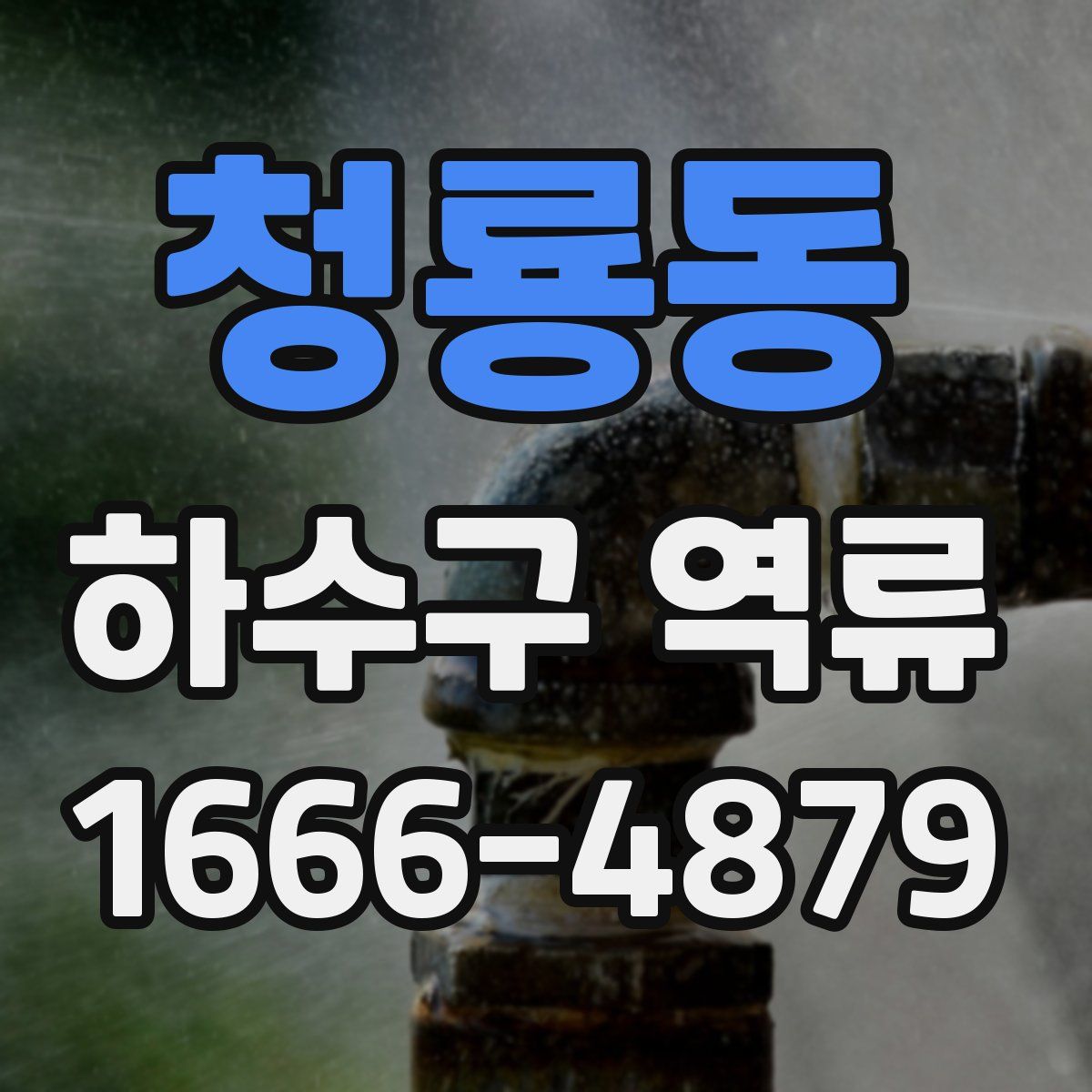 청룡동 하수구 역류