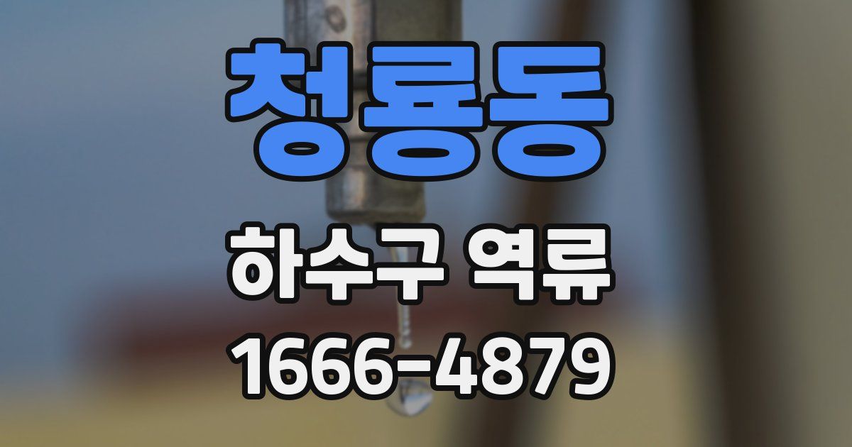 청룡동 하수구 역류