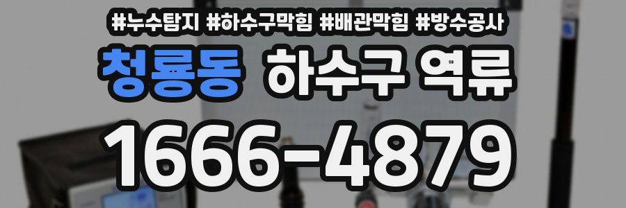 청룡동 하수구 역류