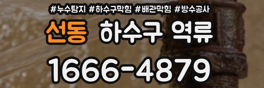 선동 하수구 역류