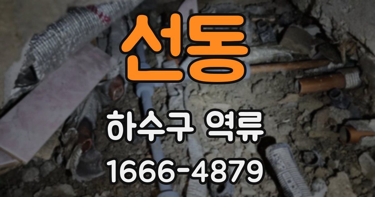 선동 하수구 역류