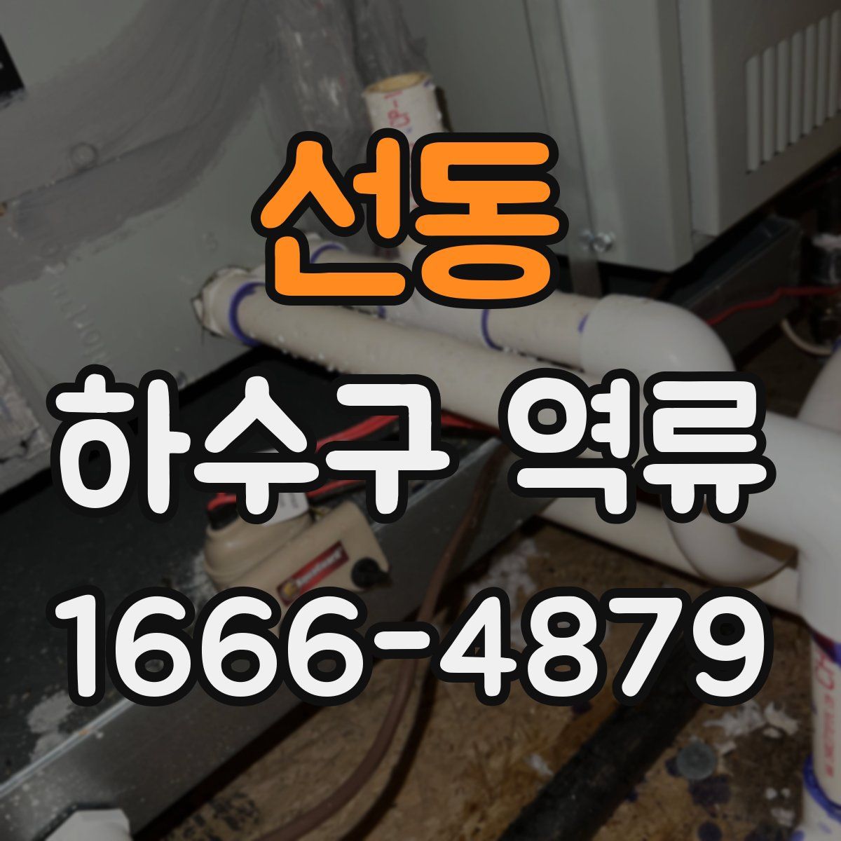 선동 하수구 역류