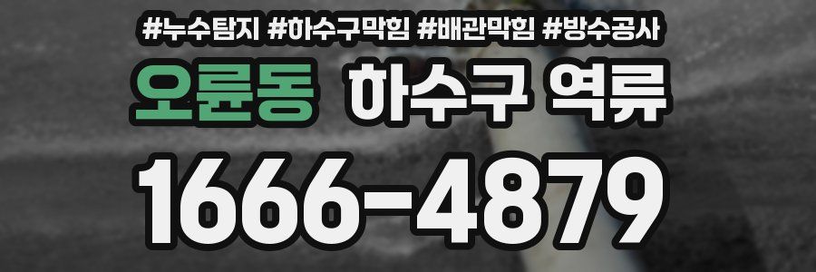 오륜동 하수구 역류