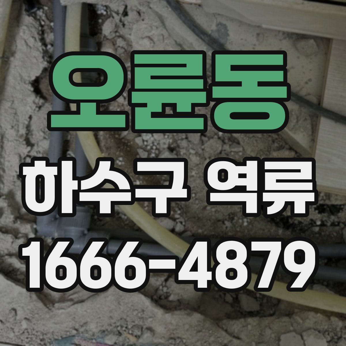 오륜동 하수구 역류