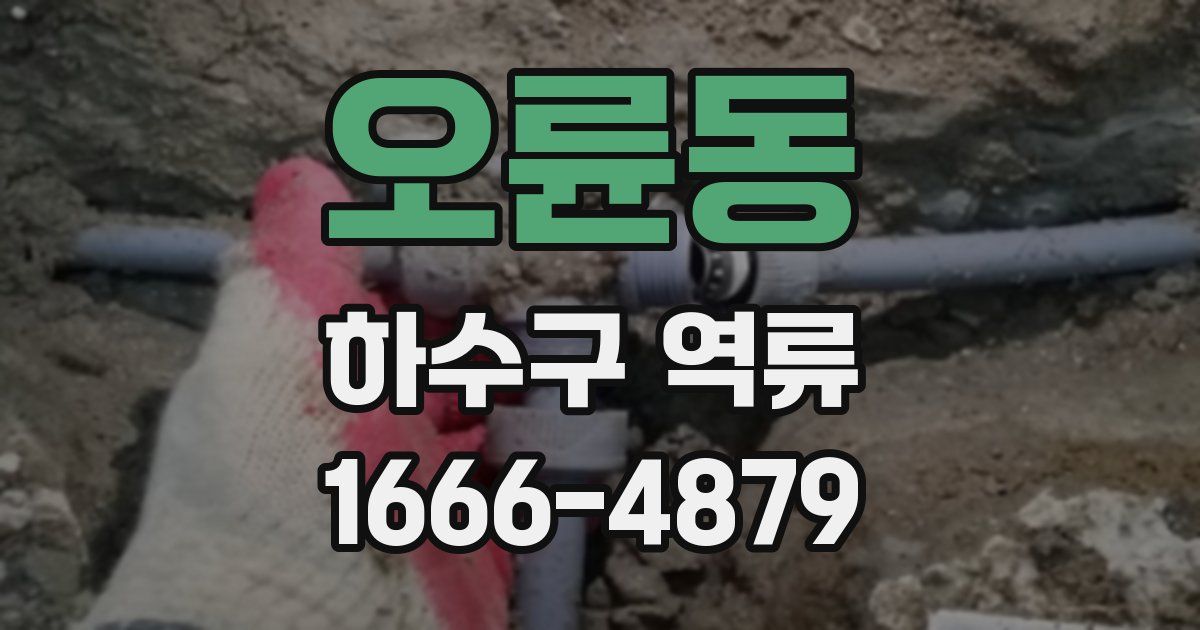 오륜동 하수구 역류