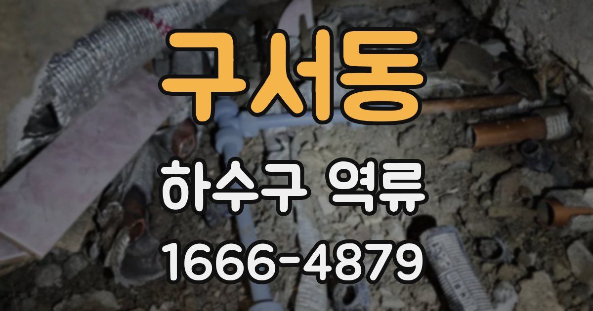 구서동 하수구 역류