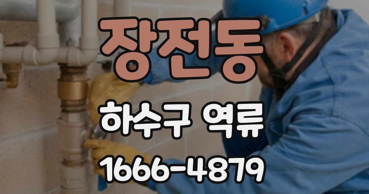 장전동 하수구 역류