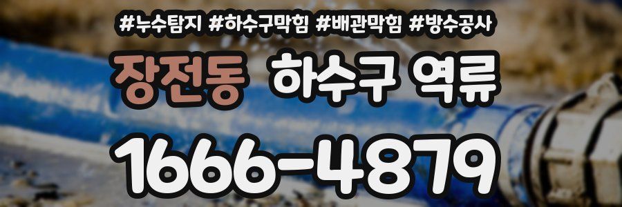 장전동 하수구 역류