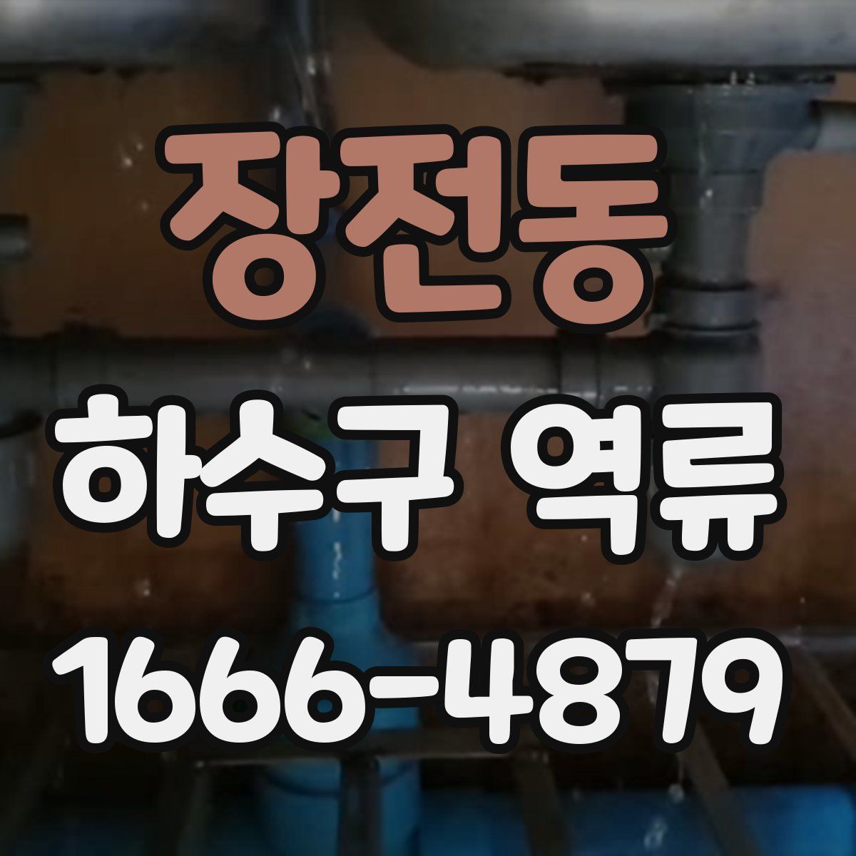 장전동 하수구 역류