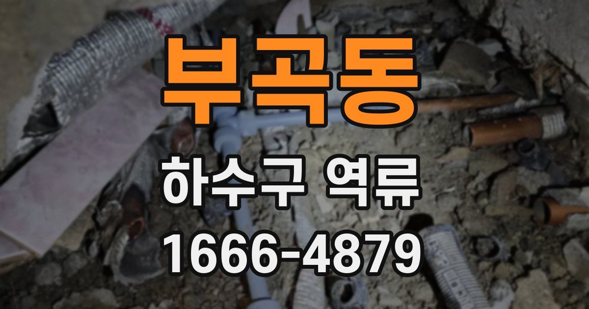 부곡동 하수구 역류