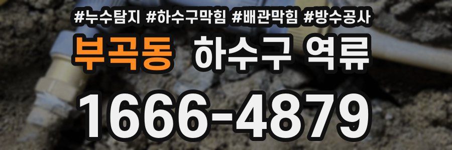 부곡동 하수구 역류
