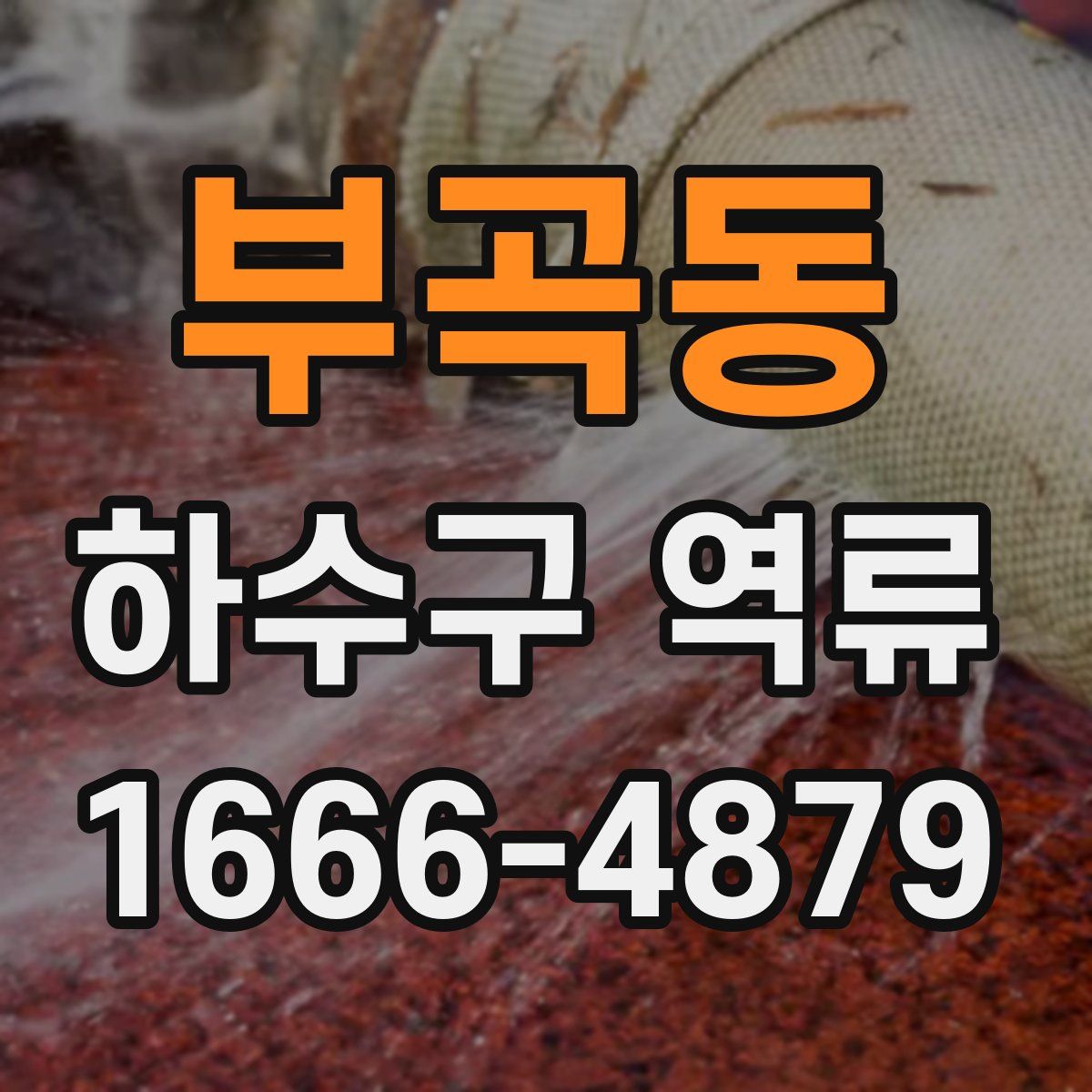 부곡동 하수구 역류