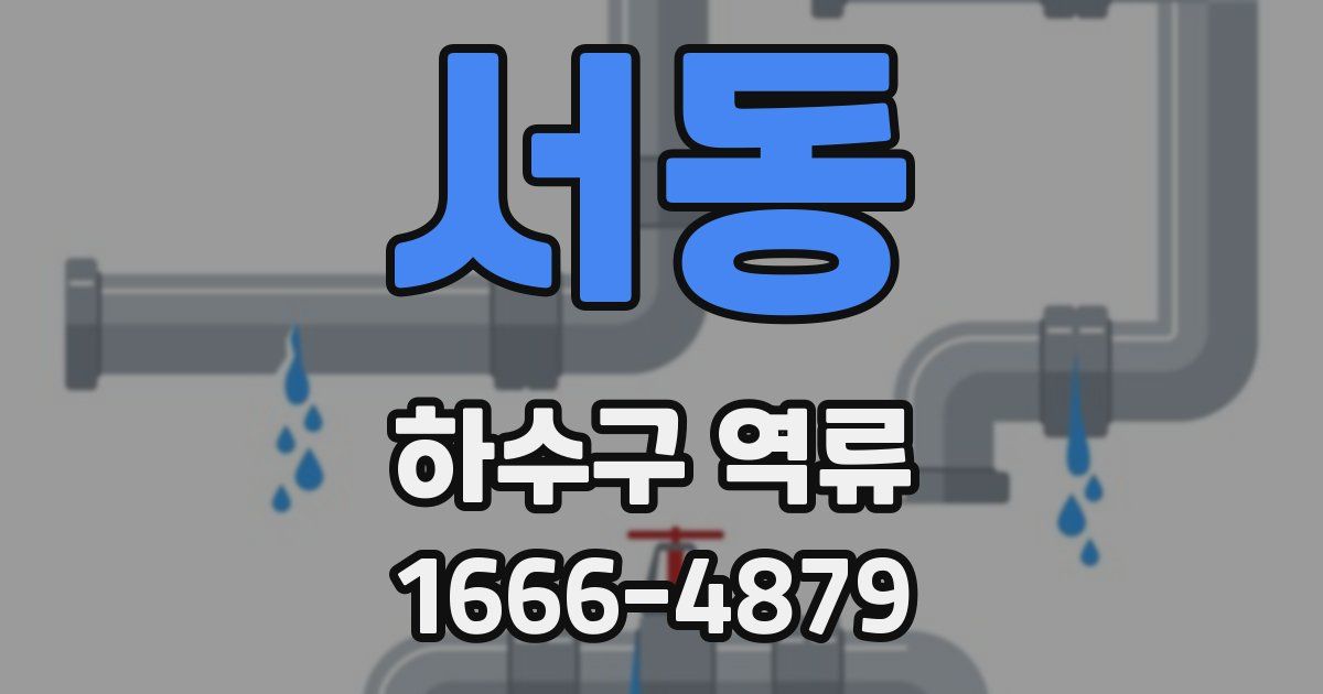 서동 하수구 역류