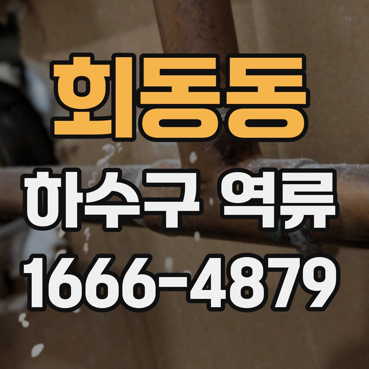 회동동 하수구 역류