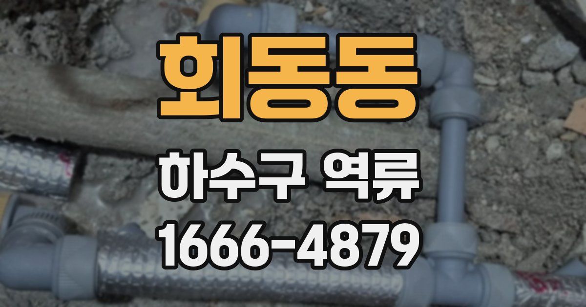 회동동 하수구 역류