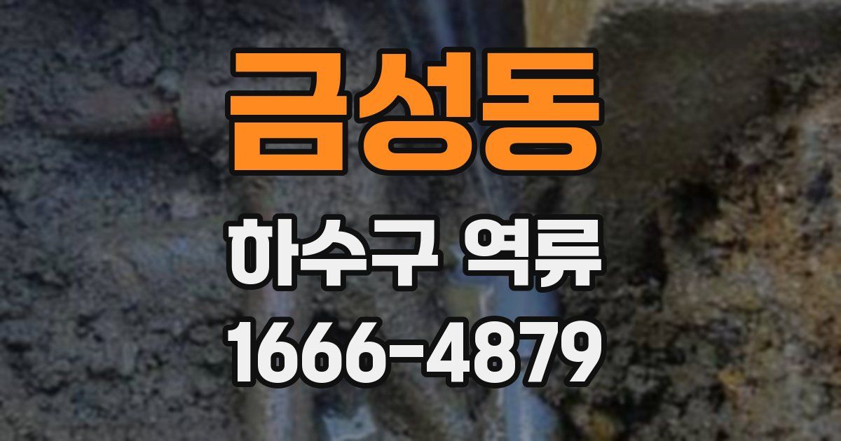 금성동 하수구 역류